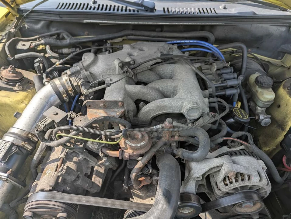 2002 Ford SN95 Mustang - Image 8 of 8