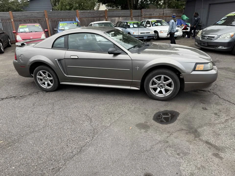 2002 Ford SN95 Mustang - Image 3 of 8