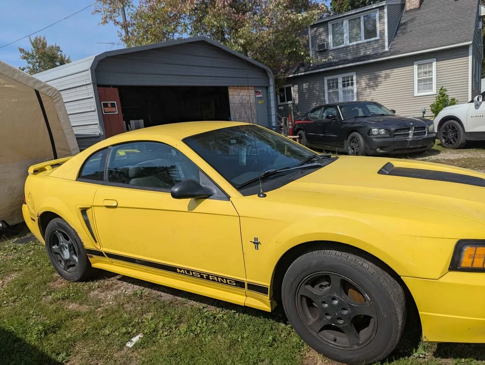 2002 Ford SN95 Mustang - Image 2 of 8