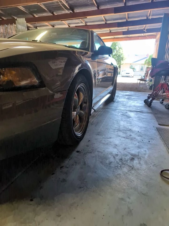 2002 Ford SN95 Mustang - Image 4 of 6