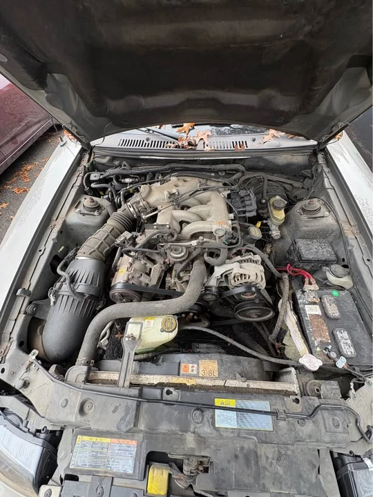 2002 Ford SN95 Mustang - Image 3 of 9