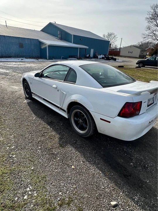 2002 Ford SN95 Mustang - Image 4 of 7