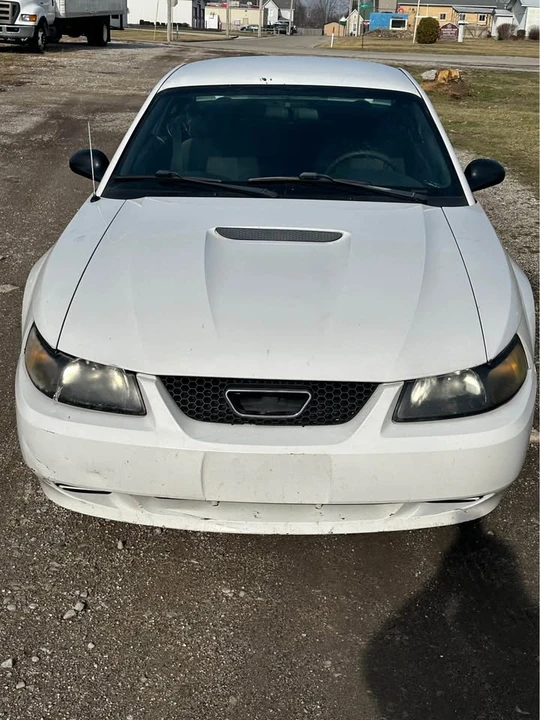 2002 Ford SN95 Mustang - Image 2 of 7