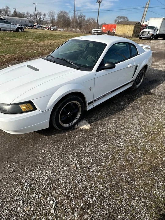 2002 Ford SN95 Mustang - Image 3 of 7