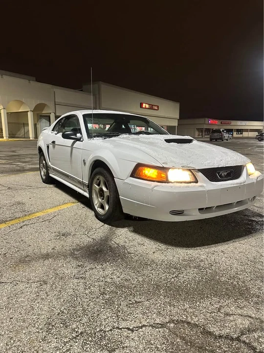 2002 Ford SN95 Mustang - Image 8 of 15