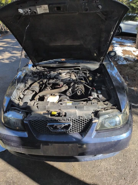2002 Ford SN95 Mustang - Image 2 of 5