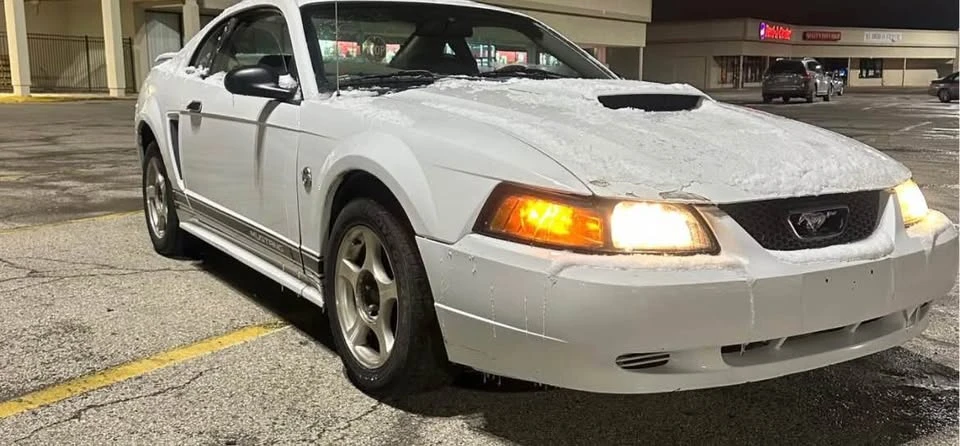 2002 Ford SN95 Mustang - Image 10 of 14