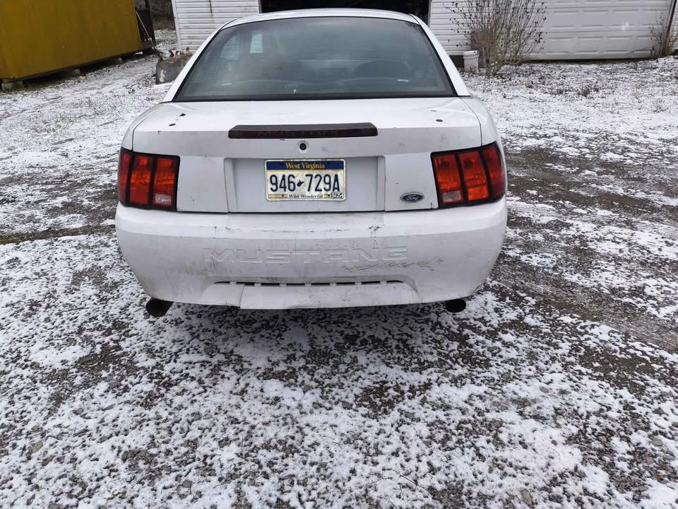 2002 Ford SN95 Mustang - Image 2 of 4