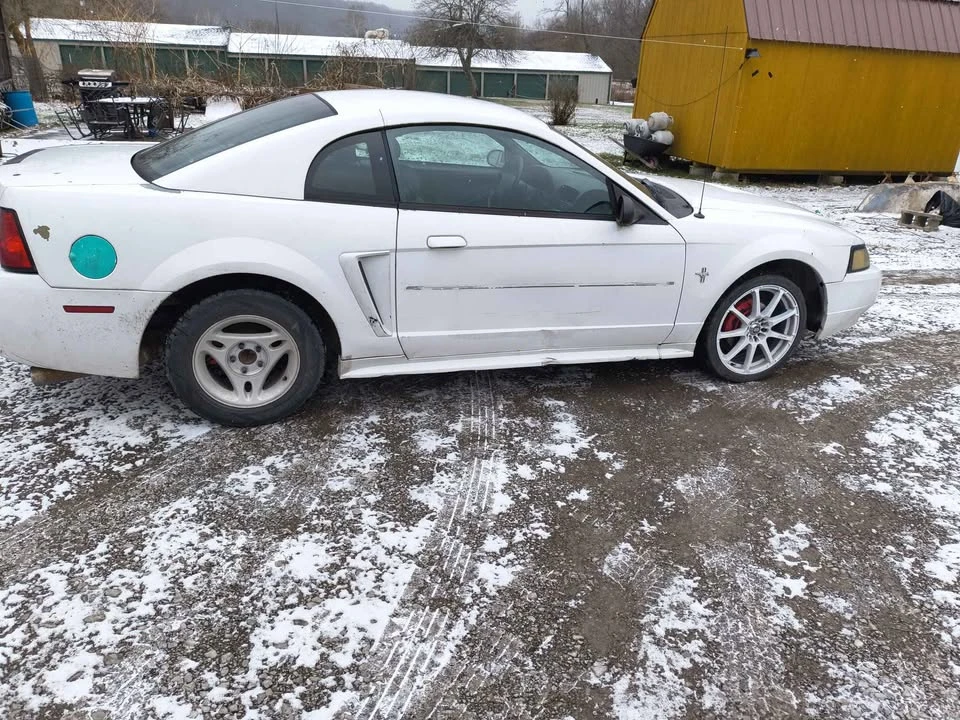 2002 Ford SN95 Mustang - Image 3 of 4