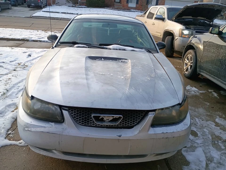 2002 Ford SN95 Mustang - Image 3 of 5
