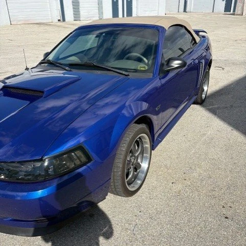 2002 Ford SN95 Mustang - Image 9 of 15