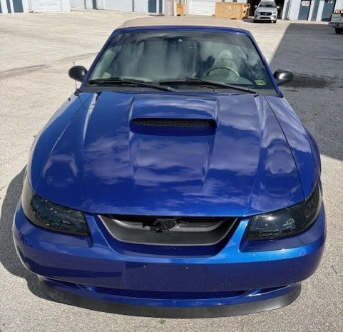 2002 Ford SN95 Mustang - Image 12 of 15