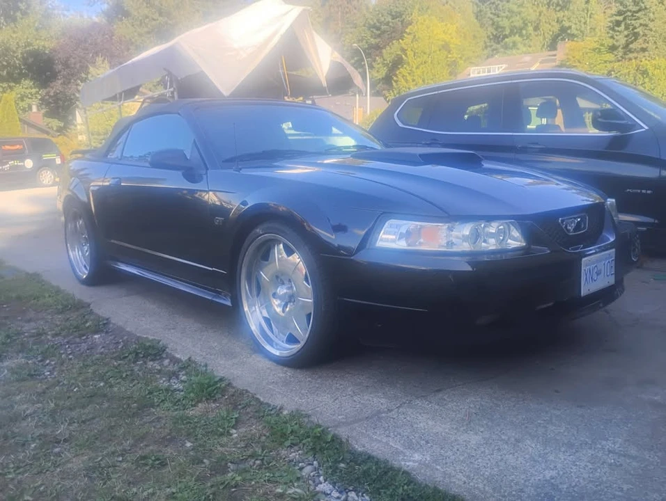 2002 Ford SN95 Mustang - Image 2 of 6