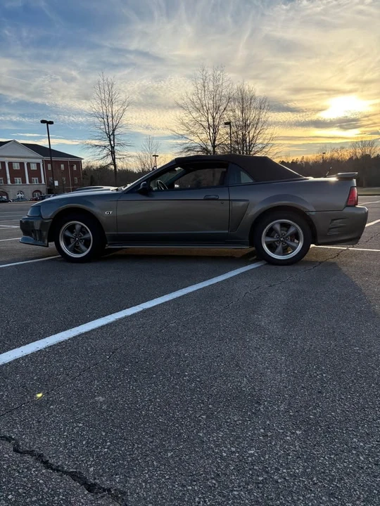 2002 Ford SN95 Mustang - Image 5 of 8