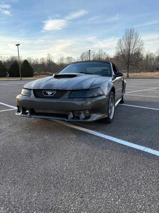 2002 Ford SN95 Mustang - Image 2 of 8