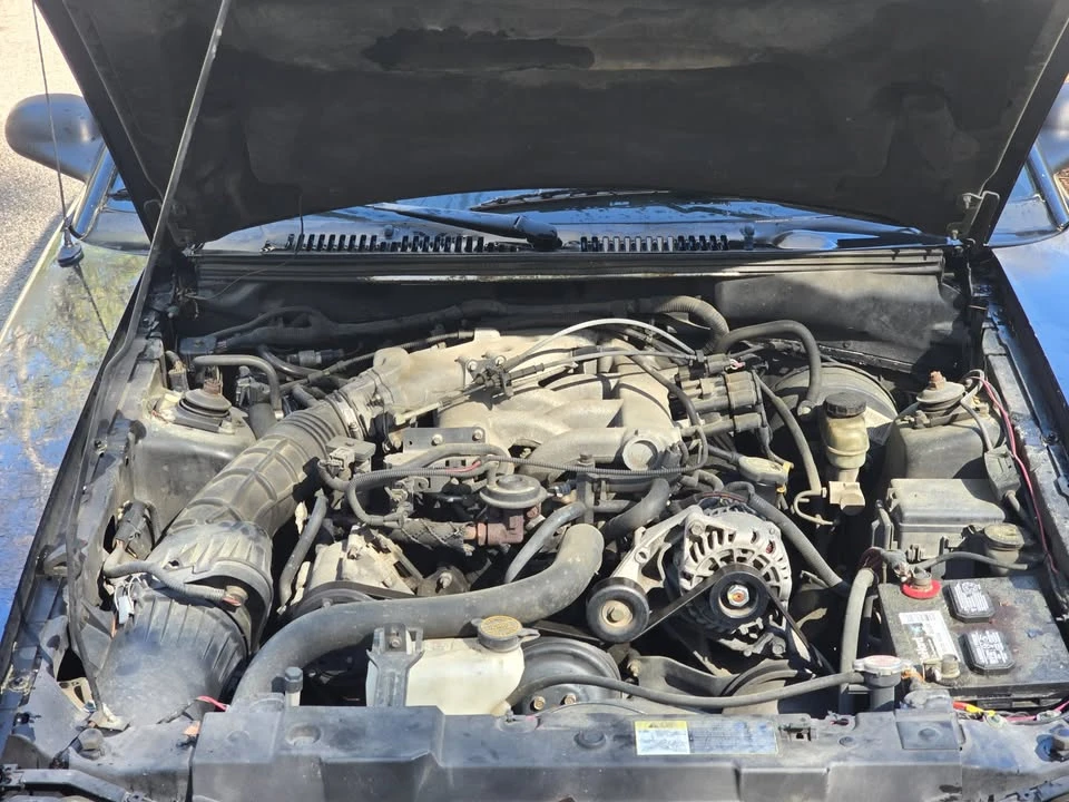 2002 Ford SN95 Mustang - Image 12 of 16