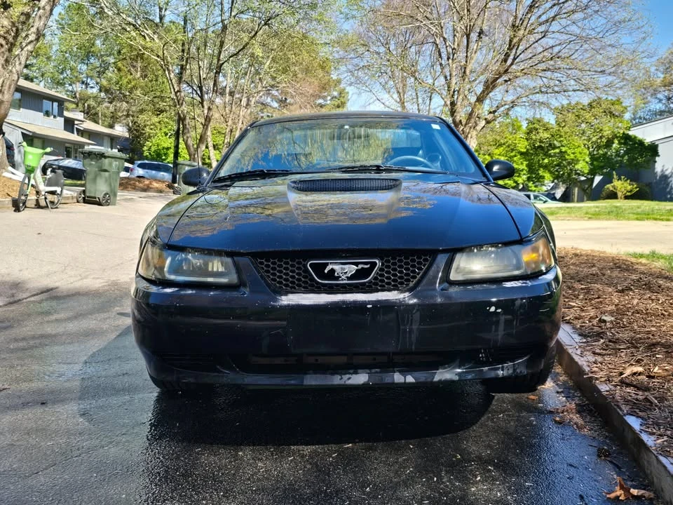 2002 Ford SN95 Mustang - Image 2 of 16