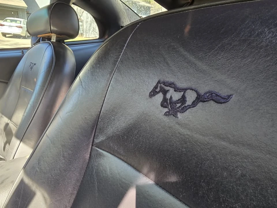 2002 Ford SN95 Mustang - Image 6 of 16