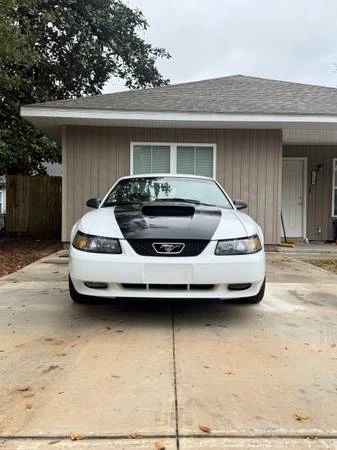 2002 Ford SN95 Mustang - Image 2 of 17