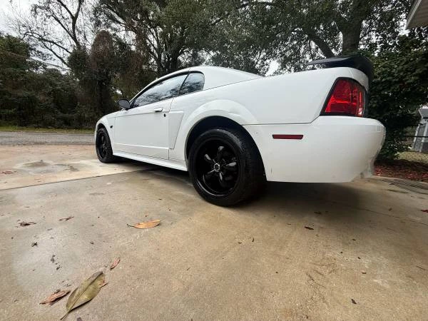 2002 Ford SN95 Mustang - Image 7 of 17