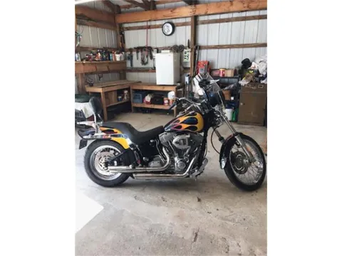 2002 Harley-Davidson Softail FXST