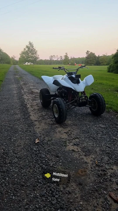 2002 Honda ATV - Image 8 of 8
