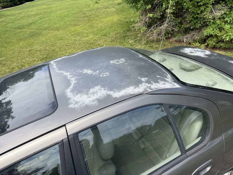 2002 Infiniti G20 2nd Gen - Image 6 of 10