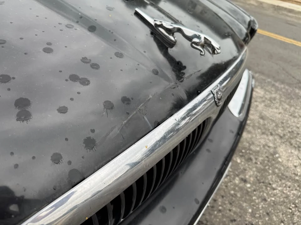 2002 Jaguar X308 XJ - Image 15 of 20