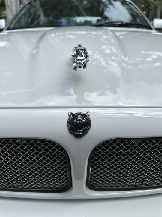 2002 Jaguar X308 XJR - Image 19 of 31