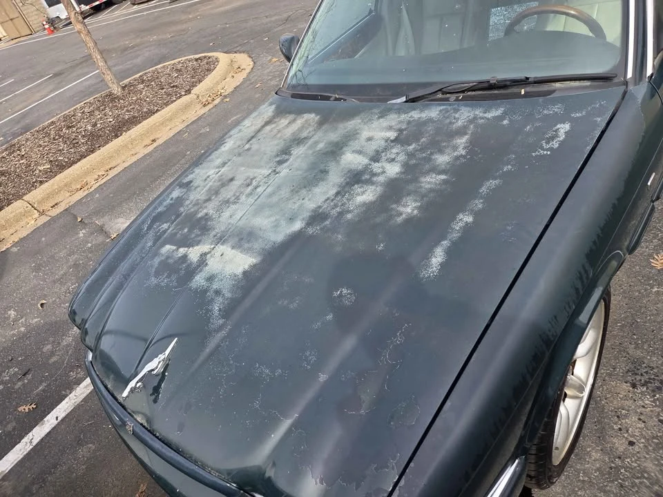 2002 Jaguar X308 XJR - Image 2 of 12