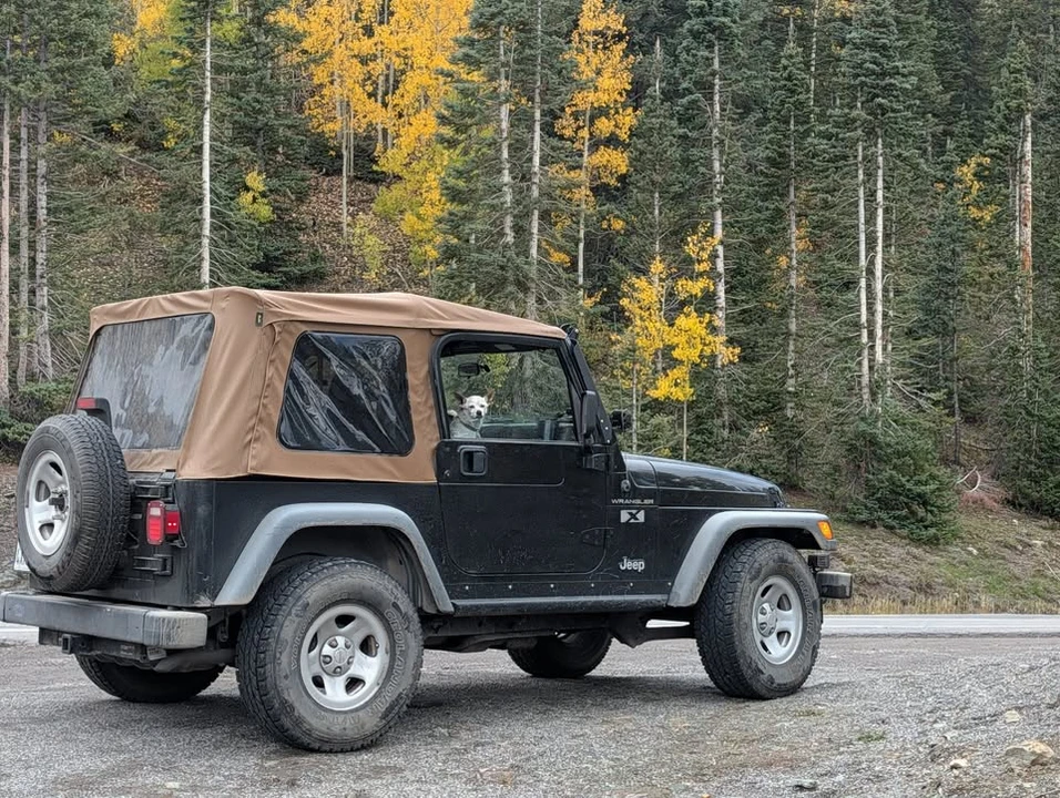 2002 Jeep TJ Wrangler - Image 2 of 16