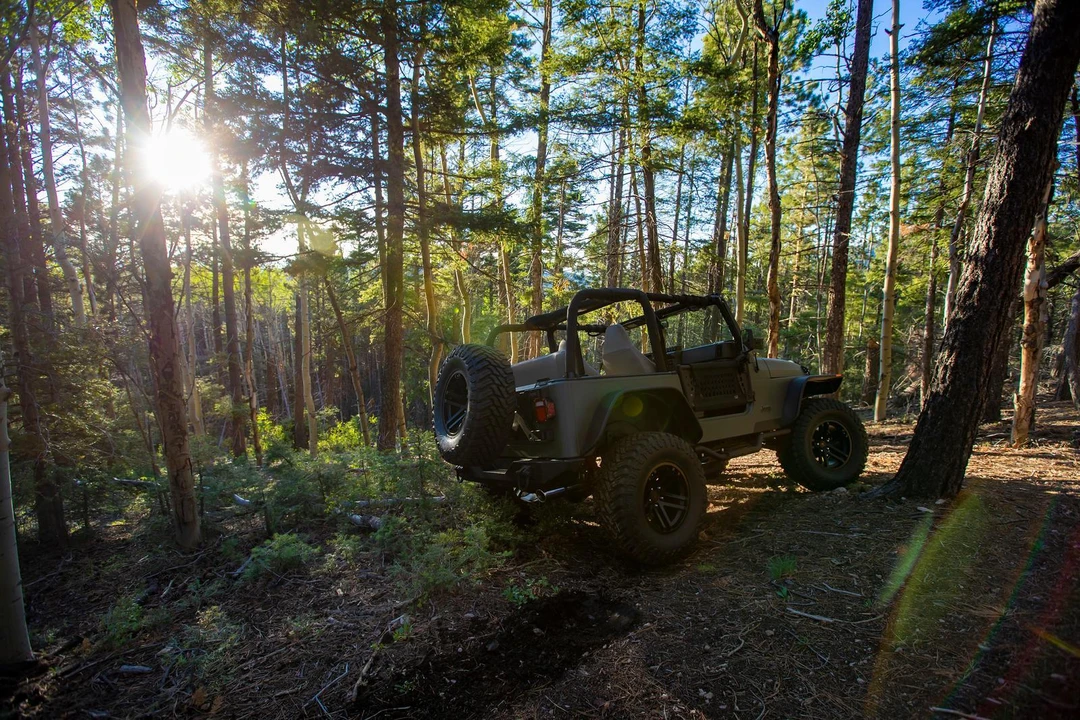 2002 Jeep TJ Wrangler - Image 11 of 31