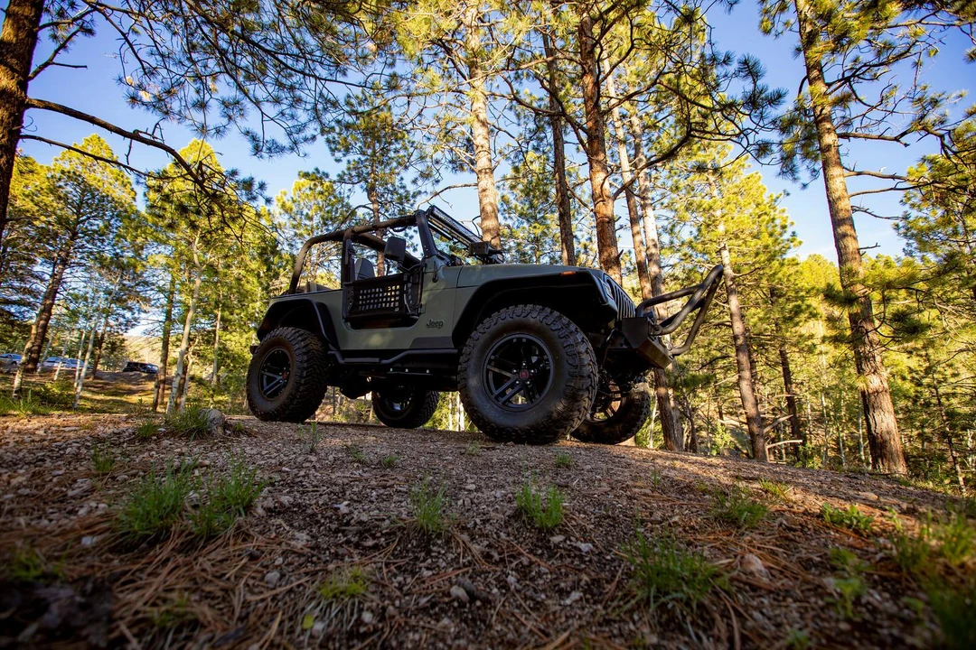 2002 Jeep TJ Wrangler - Image 8 of 31