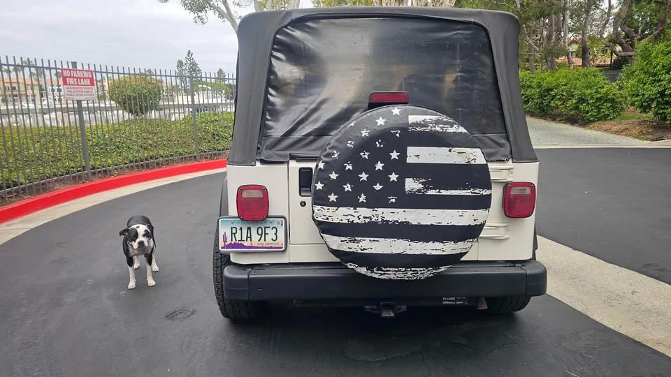 2002 Jeep TJ Wrangler - Image 12 of 15