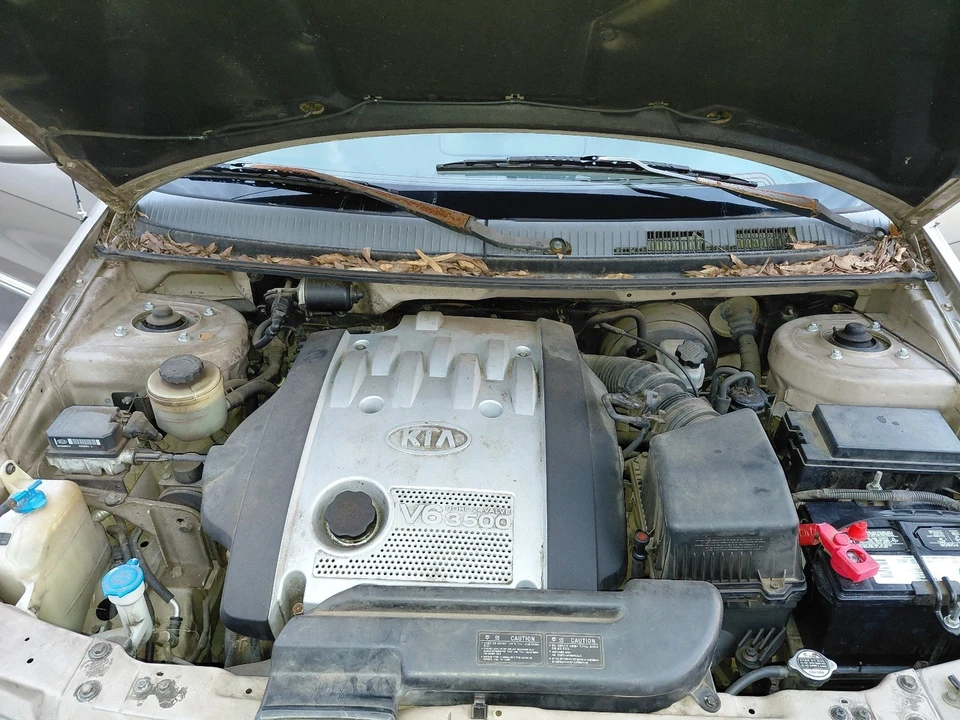 2002 Kia Carnival - Image 20 of 20