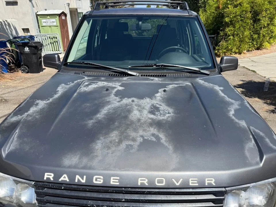 2002 Land Rover Range Rover P38A - Image 14 of 19