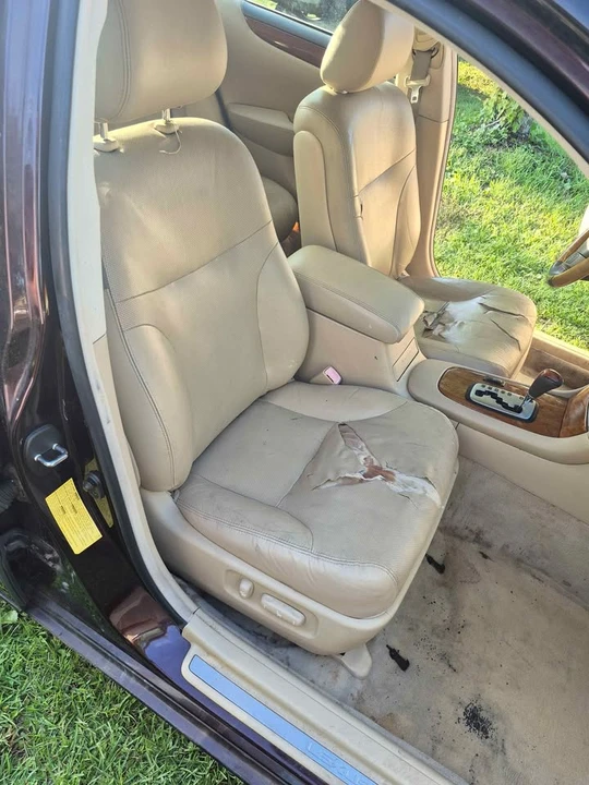 2002 Lexus - Image 8 of 8