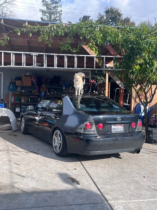 2002 Lexus IS 1st Gen - Image 4 of 4
