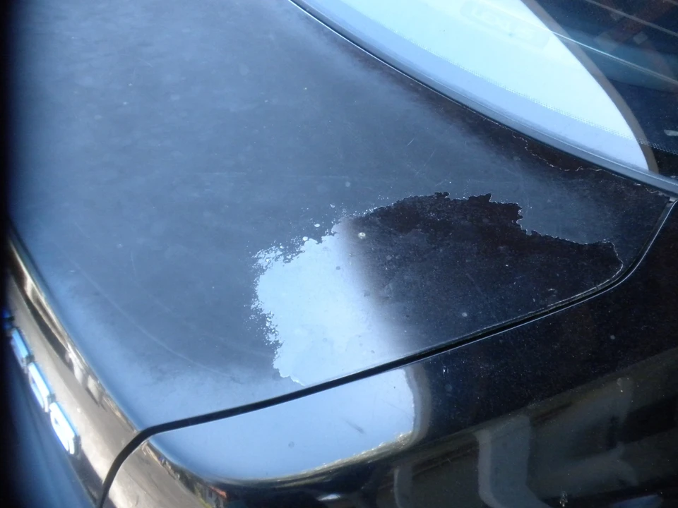 2002 Lexus IS 1st Gen - Image 14 of 20