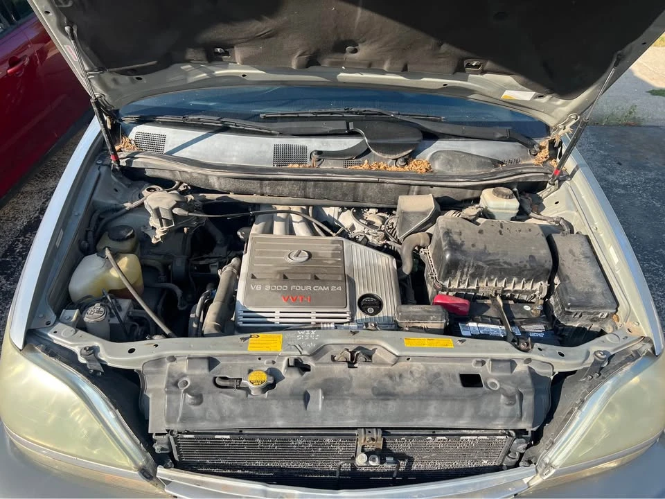 2002 Lexus RX 1st Gen - Image 10 of 10