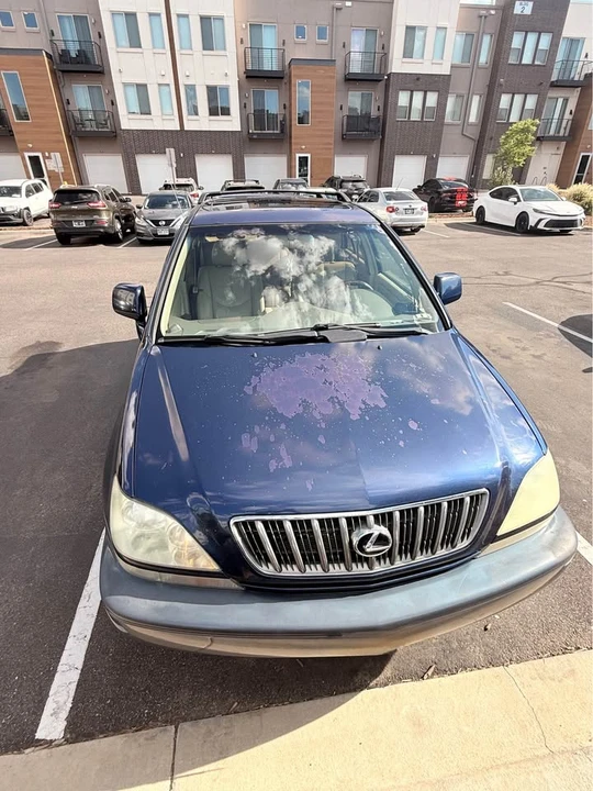 2002 Lexus RX 1st Gen - Image 4 of 11