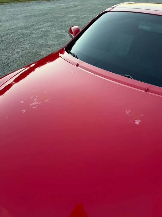 2002 Lexus SC430 - Image 14 of 19