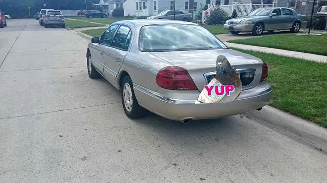 2002 Lincoln Continental Sedan 4D