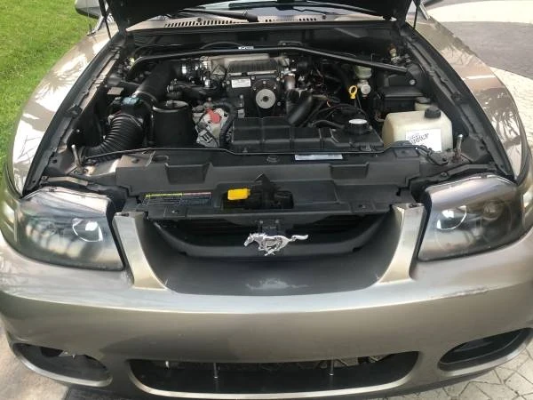 2002 Ford SN95 Mustang - Image 14 of 21
