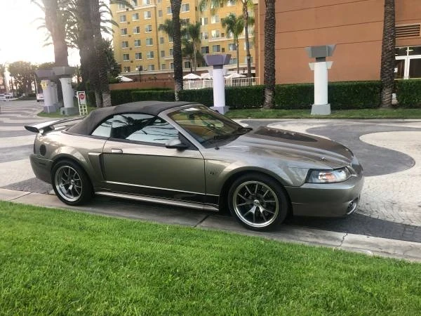2002 Ford SN95 Mustang - Image 16 of 21