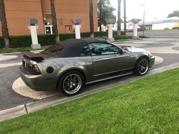 2002 Ford SN95 Mustang - Image 15 of 21