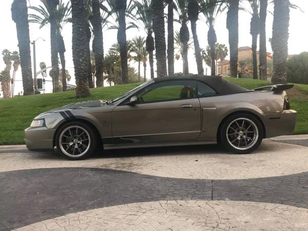 2002 Ford SN95 Mustang - Image 2 of 21