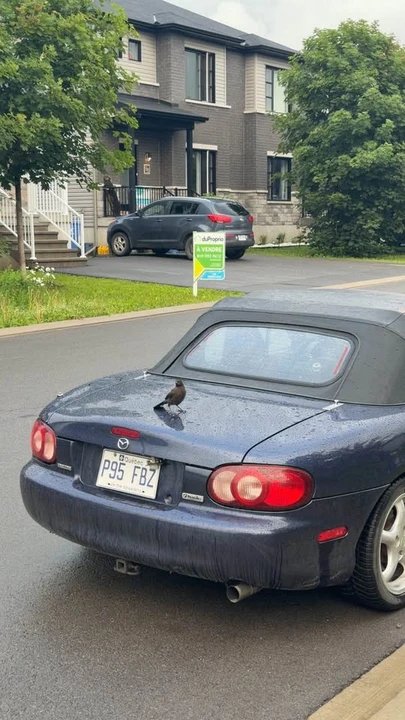 2002 Mazda NB MX-5 Miata - Image 3 of 4