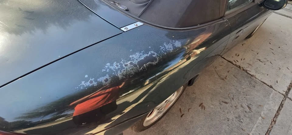 2002 Mazda NB MX-5 Miata - Image 7 of 7