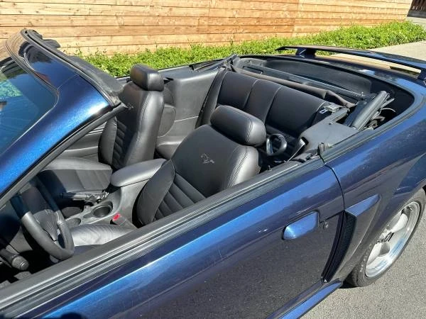 2002 Ford SN95 Mustang - Image 12 of 21